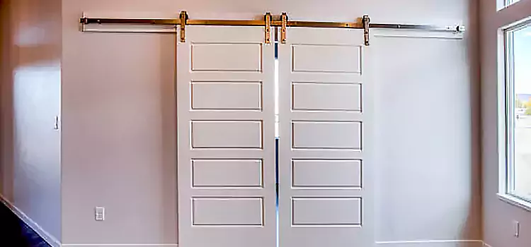 Glass Barn Door with Installation Hardware Kit Fairborn