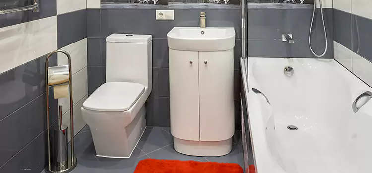 Hansgrohe Shaving Mirror Fairborn